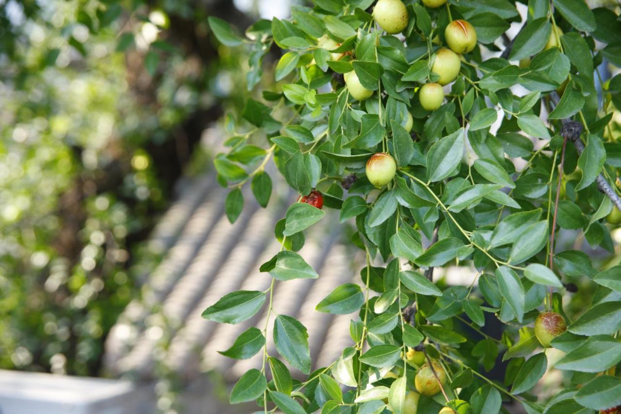Yue Bin Ge Courtyard Guest house
